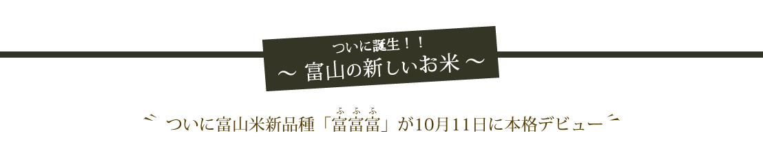 誕生！！富山の新しいお米　ついに富山米新品種「富富富」が10月11日に本格デビュー
