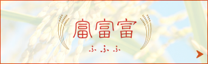 富富富