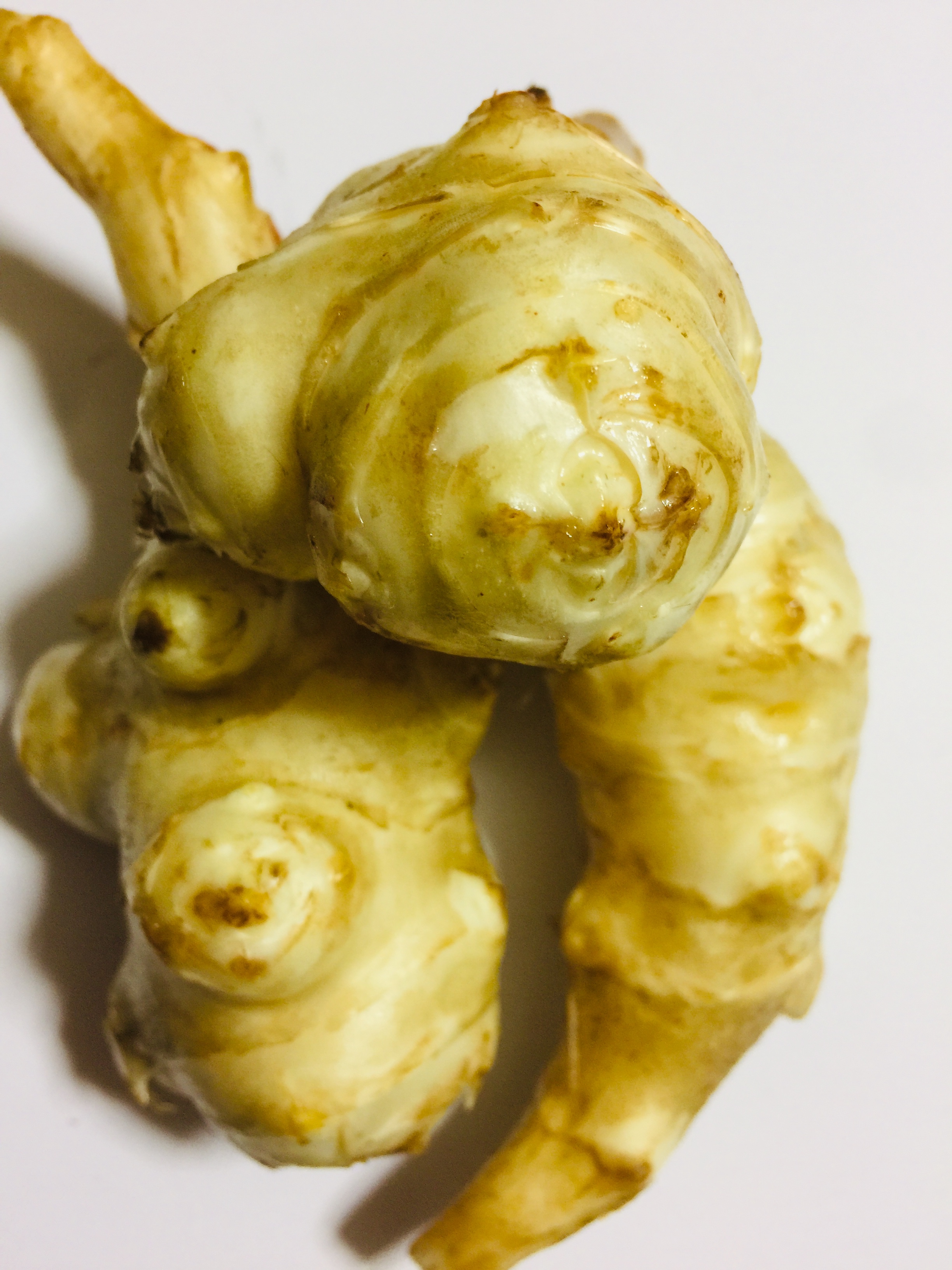 菊芋