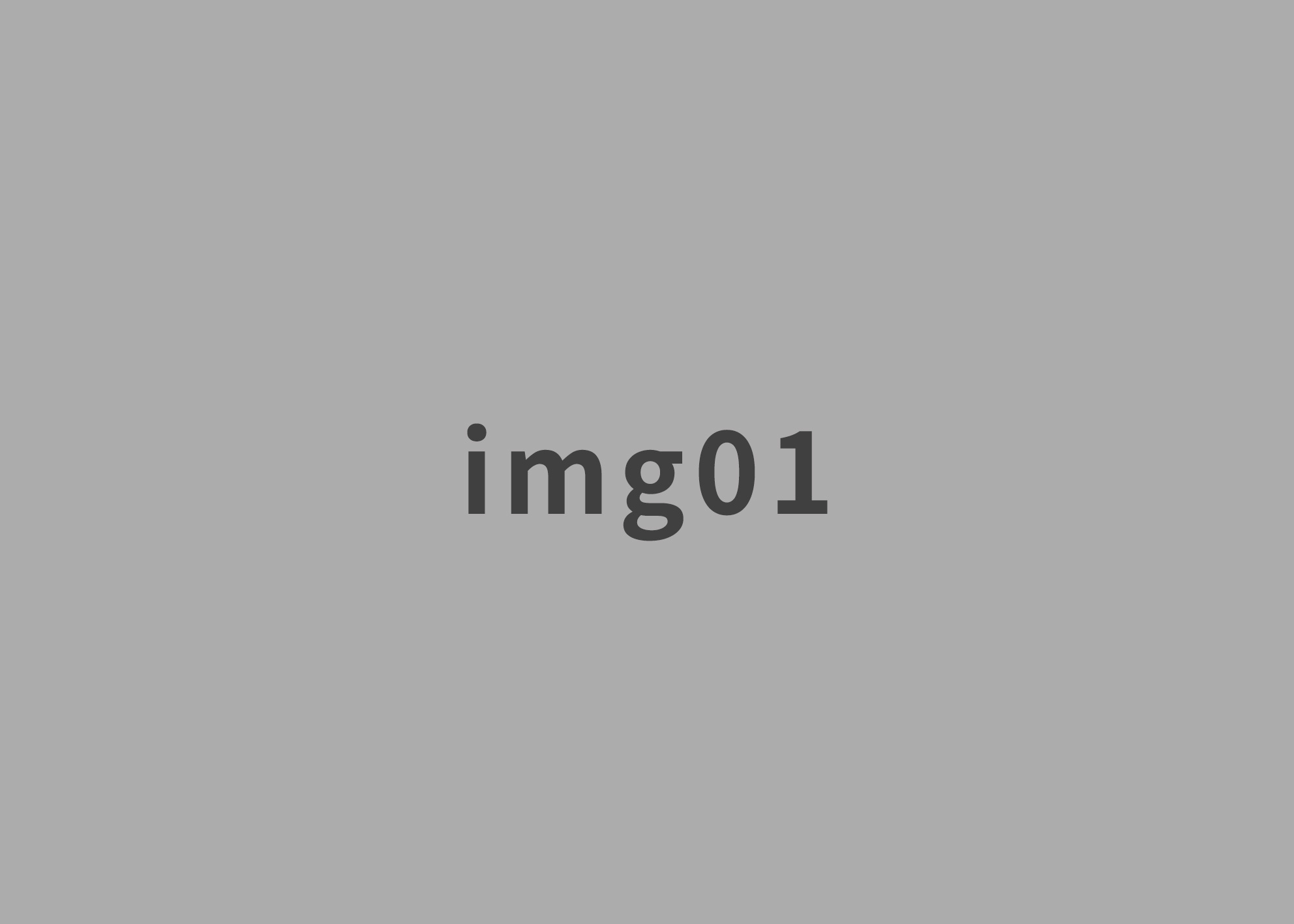 test20260213