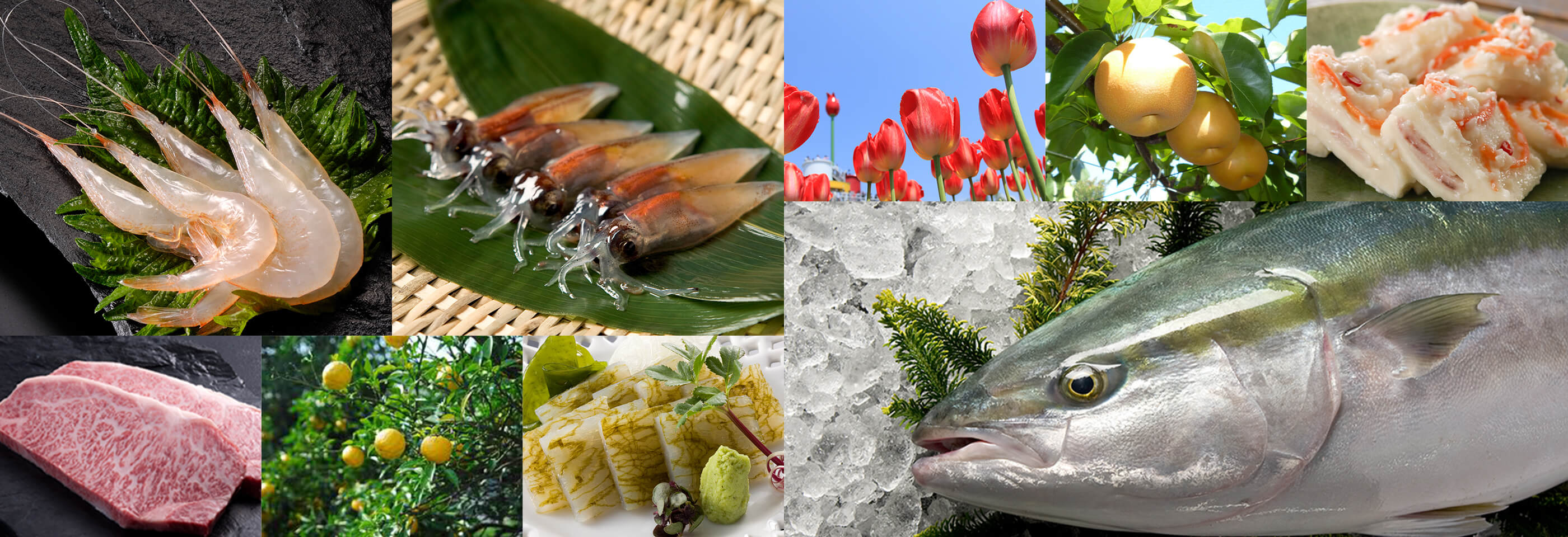 白えび、ほたるいか、氷見ぶり、ます寿し、富山の果物など、とやまの食の数々