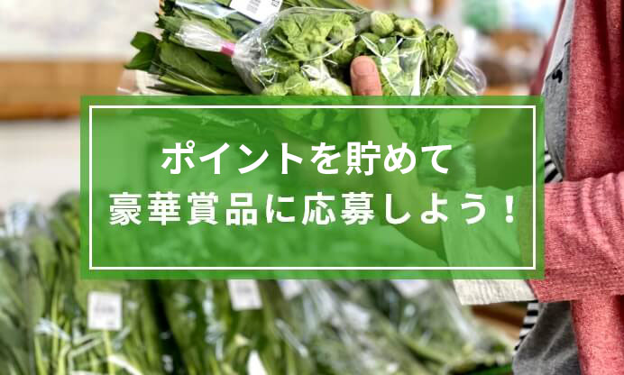 県産品を購入して豪華賞品に応募しよう