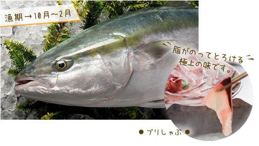ブリ ぶりしゃぶ