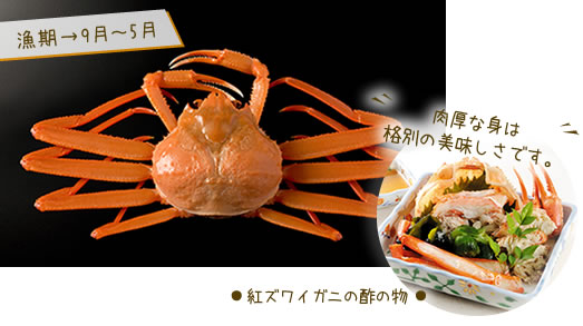 紅ズワイガニ(高志の赤ガニ)酢の物
