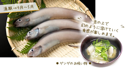 ゲンゲ お吸い物