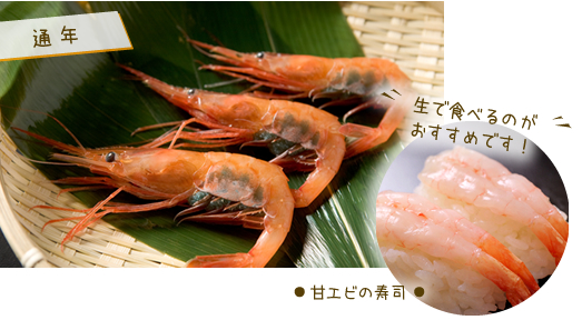 甘エビ 寿司