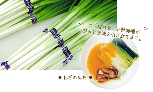 富山しろねぎ　ねぎのぬた　さっぱりとした酢味噌が甘みと旨みを引き立てます。