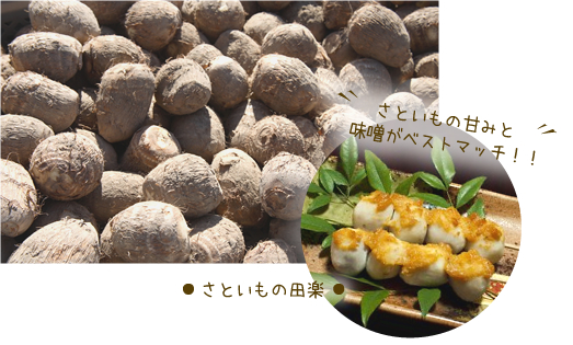 さといも　さといもの田楽　さといもの甘みと味噌がベストマッチ！！