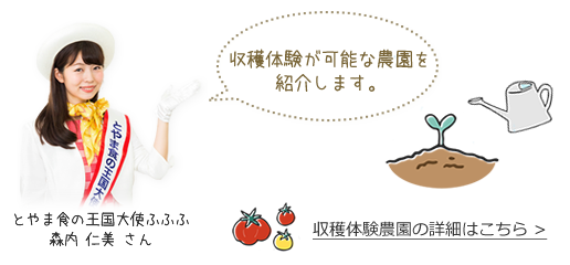 収穫体験が可能な農園を紹介します。　とやま食の王国大使ふふふ　森内　仁美さん　収穫体験農園の詳細はこちら＞