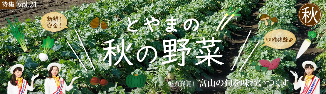 特集vol.21　とやまの秋の野菜特集