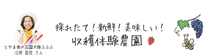 採れたて！楽しい！美味しい！収穫体験農園