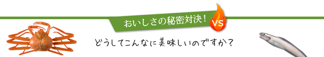 おいしさの秘密対決!