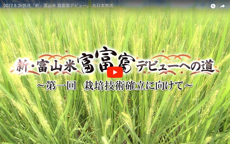 「新・富山米「富富富」デビューへの道」〜第1回〜