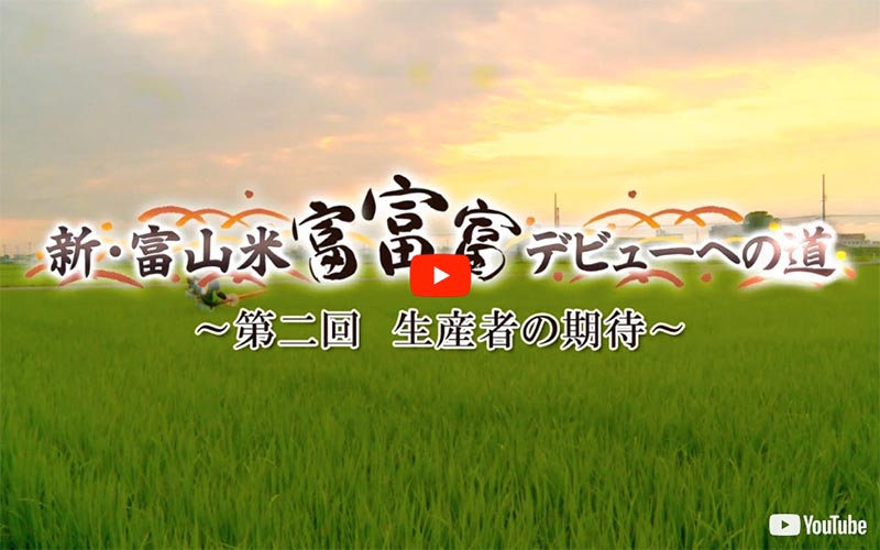 「新・富山米「富富富」デビューへの道」〜第2回〜