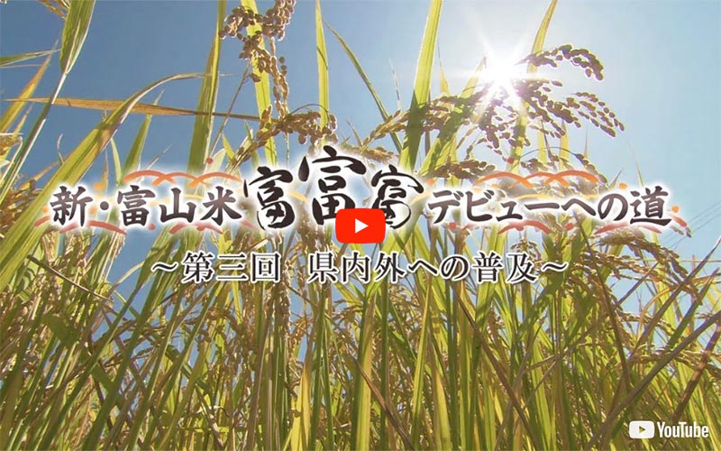 「新・富山米「富富富」デビューへの道」〜第3回〜
