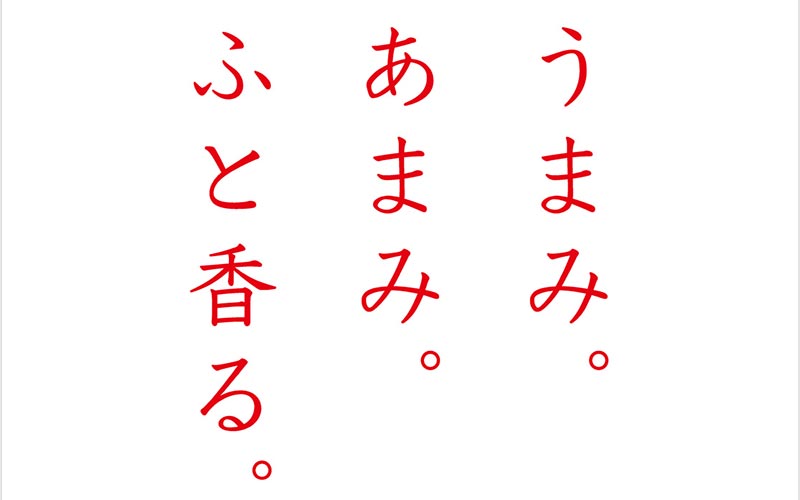 新聞広告　2018年2月25日（日）掲載　
