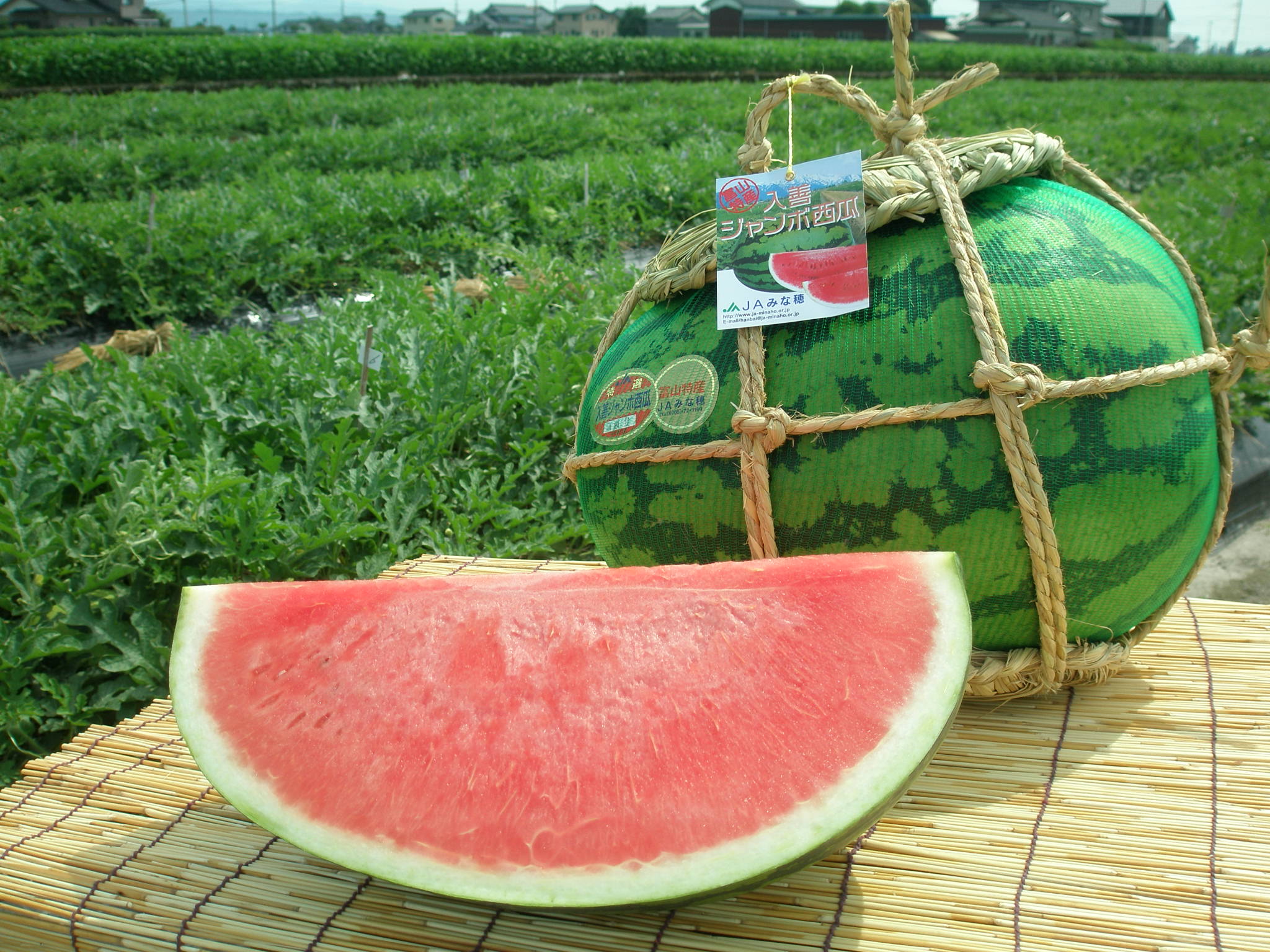 西瓜｜富山の食材 検索｜越中とやま食の王国 富山県の食文化を伝える