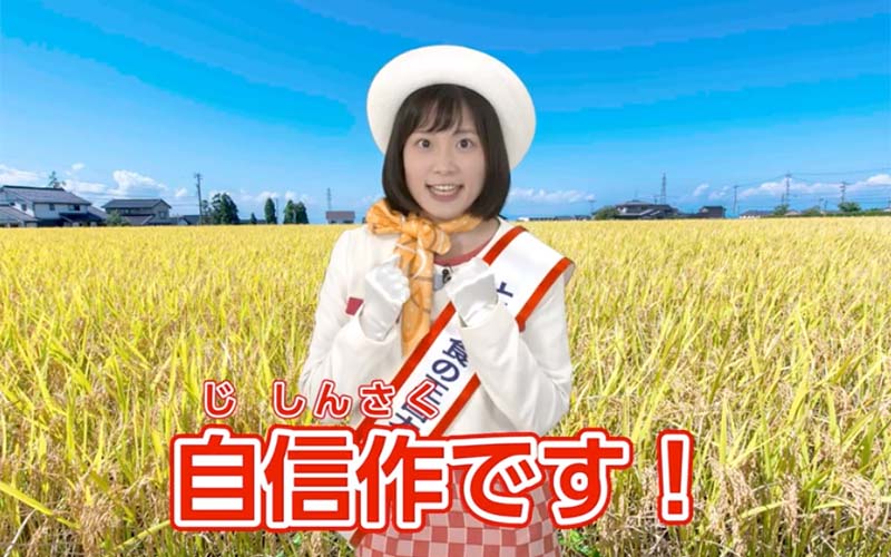 「富富富」ってこんなお米