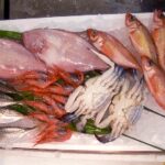 魚正