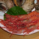 季節の料理・寿司　写楽