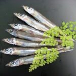 ダイサン大丸水産