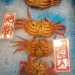 蛯谷鮮魚店