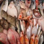 松村鮮魚店