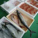 鮮魚山崎