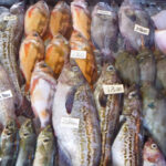 江淵鮮魚店