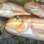 旬魚菜　じろう