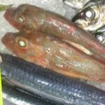 お食事処　なかまち