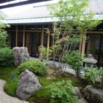 わはく