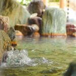 温泉民宿　いけもり