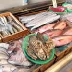 食べる水族館 魚ぎ