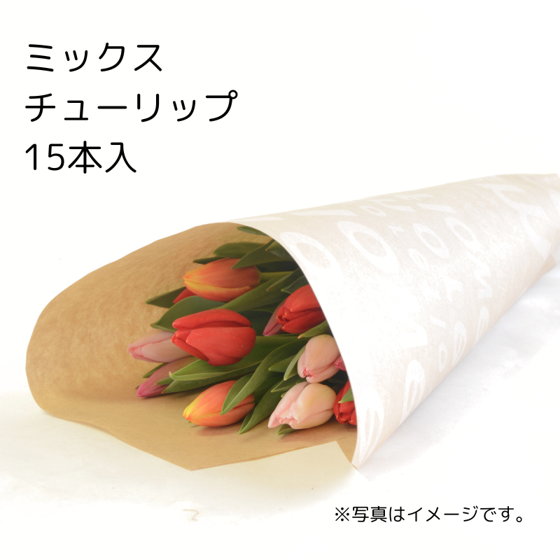 8.チューリップ切花 ミックス15本