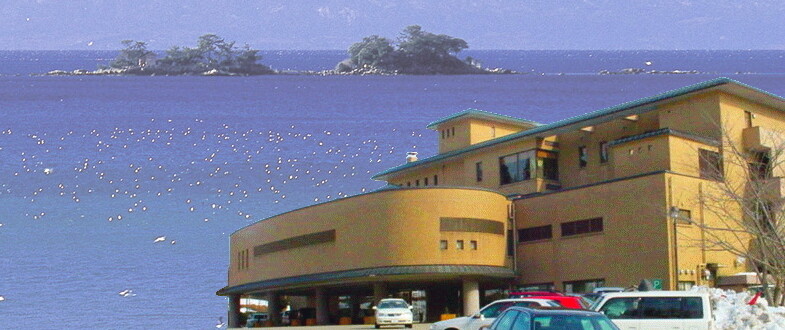 氷見・九殿浜温泉 ひみのはな