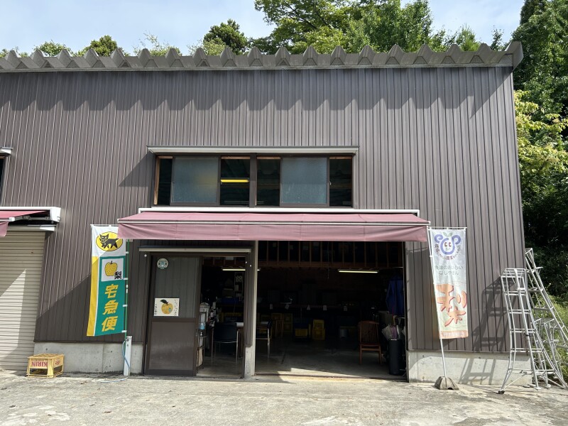 大城梨梅園