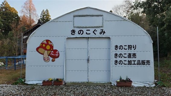 きのこぐみ