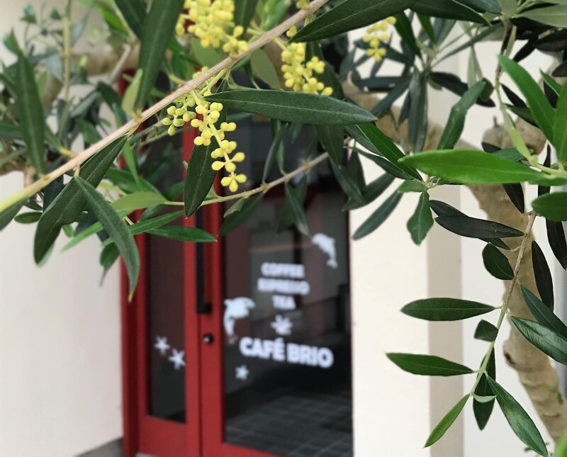 CAFE BRIO